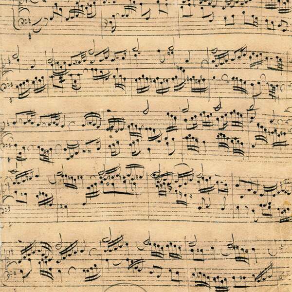 Friedberg Variationen